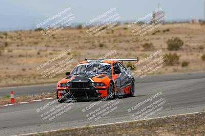 media/May-03-2025-Lucky Dog Racing (Sat) [[206de64b9d]]/Turn 6 (150pm-230pm)/